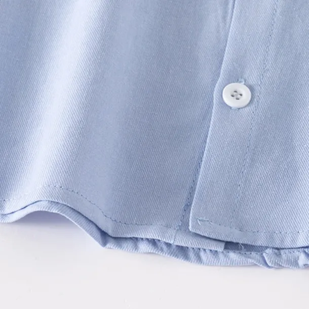 Boys 3D Solid Color Shirts Long Sleeve Summer Spring Fashion Basic Little Kids(4-7ys) 4-7 Years Lapel Outdoor Casual Daily Regular Fit