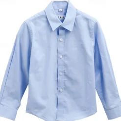 Boys 3D Solid Color Shirts Long Sleeve Summer Spring Active Basic Kids 3-13 Years Outdoor Daily Regular Fit