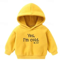 Boys Girls' 3D Letter Hoodie Long Sleeve Fall Winter Fashion Basic Kids 4-7 Years Hooded Outdoor Casual Daily Regular Fit