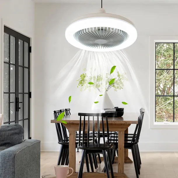 Ceiling Fan with Light Remote Control CABLE E26 SOCKET INCLUDE 10 Inch Enclosed Ceiling Fan Dimmable 3 Light Color, 3 Speed LED Low Profile Flush Mount Ceiling Fan for Kitchen