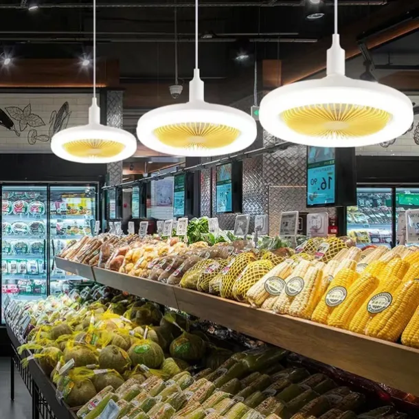 Ceiling Fan with Light Remote Control CABLE E26 SOCKET INCLUDE 10 Inch Enclosed Ceiling Fan Dimmable 3 Light Color, 3 Speed LED Low Profile Flush Mount Ceiling Fan for Kitchen