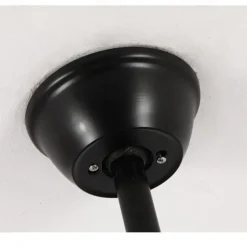 Ceiling Fan with Lights and Remote, 19.5