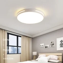 Ceiling Light 12