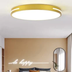 Ceiling Light 12