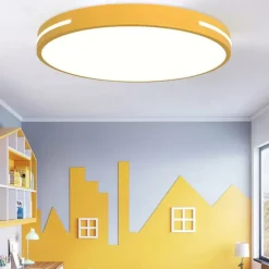Ceiling Light 12