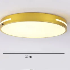 Ceiling Light 12