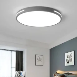 Ceiling Light 12