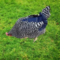 Chicken Saddles,Hen Saddle Sweater Clothes,Beautiful Wing Protector,Birds Protector for Back and Sides, Poultry Accessories for Hens, Blue