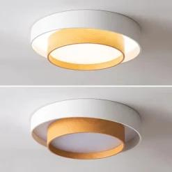 40cm Dimmable Ceiling Lights Metal Painted Finishes Modern Nordic Style 220-240V