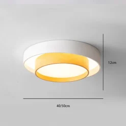40cm Dimmable Ceiling Lights Metal Painted Finishes Modern Nordic Style 220-240V