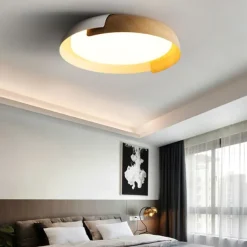 46cm Dimmable Ceiling Light Metal Painted Finishes Nature Inspired Modern 220-240V