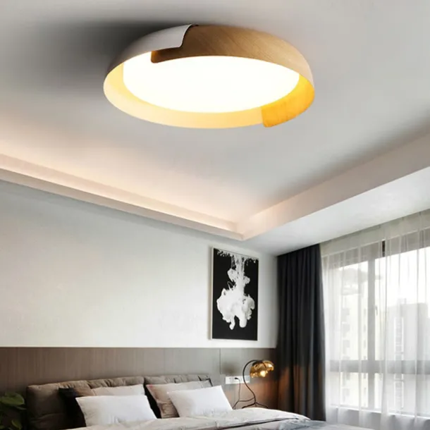 46cm Dimmable Ceiling Light Metal Painted Finishes Nature Inspired Modern 220-240V