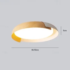 46cm Dimmable Ceiling Light Metal Painted Finishes Nature Inspired Modern 220-240V