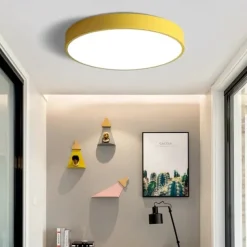 30cm LED Ceiling Light Basic Modern Matte Multi-shade Dimmable Flush Mount Lights Plastic Bowl Painted Finishes AC110-240V