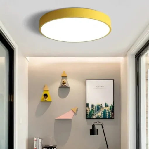 30cm LED Ceiling Light Basic Modern Matte Multi-shade Dimmable Flush Mount Lights Plastic Bowl Painted Finishes AC110-240V
