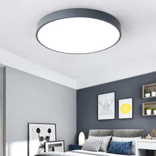 30cm LED Ceiling Light Basic Modern Matte Multi-shade Dimmable Flush Mount Lights Plastic Bowl Painted Finishes AC110-240V
