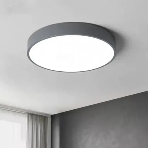 30cm LED Ceiling Light Basic Modern Matte Multi-shade Dimmable Flush Mount Lights Plastic Bowl Painted Finishes AC110-240V