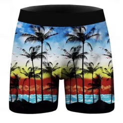 Coconut Tree Boxer Briefs Underwear Graphic Prints For Men's Adults' Masquerade 3D Print Vacation