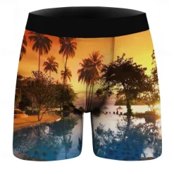 Coconut Tree Boxer Briefs Underwear Graphic Prints For Men's Adults' Masquerade 3D Print Vacation