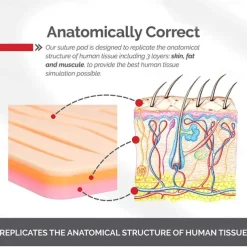 Complete Suture Practice Kit For Suture Training Including Large Silicone Suture Pad With Pre-Cut Wounds And Suture Tool Kit