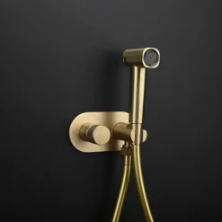 Concealed Bidet Sprayer 2Functions Water Flow Brass Valve Button Adjustable Cold/ Hot Mixer PVC HoseBrushed Gold Grey White