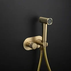 Concealed Bidet Sprayer 2Functions Water Flow Brass Valve Button Adjustable Cold/ Hot Mixer PVC HoseBrushed Gold Grey White
