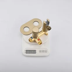 Concealed Bidet Sprayer 2Functions Water Flow Brass Valve Button Adjustable Cold/ Hot Mixer PVC HoseBrushed Gold Grey White