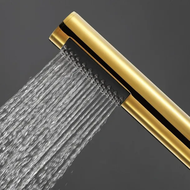 Contemporary Hand Shower Chrome / Brushed / Ti-PVD Feature - Shower, Shower Head / Stainless Steel / Brass / Yes