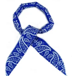 Cool Hair Band Quick Scarves Cooling Bandanas Collar Sports Towel Sport Headbands for Women Sports Supplies Cooling Neck Wraps Ice Towel Quick Dry Travel Polyester Cotton
