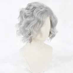 Cosplay Wig Cosplay Wig Edmond Dantes Gankutsuou Fate / Stay Night Curly Cosplay Asymmetrical Wig Short Grey Synthetic Hair 14 inch Men's Anime Cosplay Gray Halloween Wigs