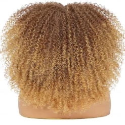 Curly Wig With Bangs Afro Curly Wigs for Black Women Afro Kinky Wig Synthetic Fiber Glueless Full and Fluffy Long Curly Wig for Fashion Women