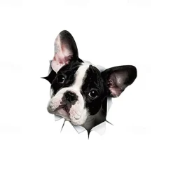 3D Car Stickers Auto Rear Window Puppy Broken Window Stickers French Bulldog Car Stickers Vinyl Decals