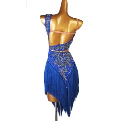 Dance Salsa Latin Dance Dress Fringed Tassel Split Joint Crystals / Competition Dress Rhinestones Women's Performance Sleeveless Chinlon