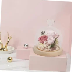 Deco Night Lights Round Glass Display Dome Cloche with Wooden Base Landscape Decorative Cover Tabletop Disp with Light for Xmas DIY Crafts Birthday Holiday Halloween Home Decoratio Craftsmanship and Style for Your Home