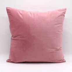 Decorative Toss Pillows Fall Throw Pillow Covers Cushion Cover Modern Simple Thick Dutch Velvet Solid Color Sofa Living Room Bed Room 1PC Pink Blue Sage Green Purple