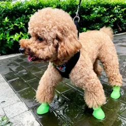 Dog Boots / Shoes Rain Boots Fashion Cute Waterproof Soft Washable Comfortable Outdoor Casual Daily Dog Clothing for Bichon Frise Pomeranian Baby Pet Papillon Small