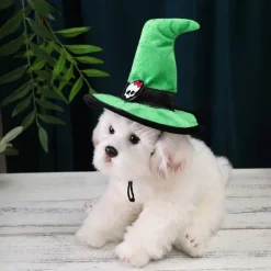 Dog Cat Bandanas & Hats Cosplay Halloween Outfit Cosplay Funny Winter Soft Washable Comfortable Halloween Outdoor Halloween Casual Daily Dog Clothing for Bichon Frise Pomeranian Baby Pet Papillon