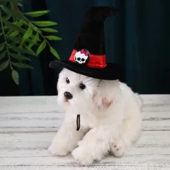 Dog Cat Bandanas & Hats Cosplay Halloween Outfit Cosplay Funny Winter Soft Washable Comfortable Halloween Outdoor Halloween Casual Daily Dog Clothing for Bichon Frise Pomeranian Baby Pet Papillon