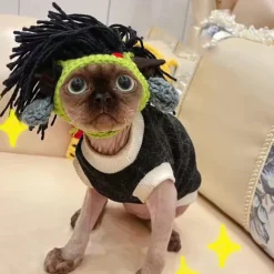 Dog Cat Bandanas & Hats Fashion Cool Winter Soft Washable Comfortable Halloween Outdoor Casual Daily Dog Clothing for Bichon Frise Pomeranian Baby Pet Papillon Small