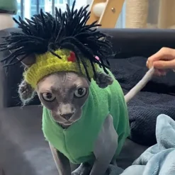 Dog Cat Bandanas & Hats Fashion Cool Winter Soft Washable Comfortable Halloween Outdoor Casual Daily Dog Clothing for Bichon Frise Pomeranian Baby Pet Papillon Small