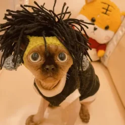 Dog Cat Bandanas & Hats Fashion Cool Winter Soft Washable Comfortable Halloween Outdoor Casual Daily Dog Clothing for Bichon Frise Pomeranian Baby Pet Papillon Small