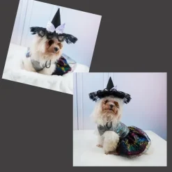 Dog Cat Bandanas & Hats Halloween Outfit Fashion Funny Winter Breathable Soft Washable Comfortable Outdoor Halloween Casual Daily Dog Clothing for Bichon Frise Pomeranian Baby Pet Papillon Small
