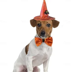 Dog Cat Bandanas & Hats Tie / Bow Tie Fashion Cute Winter Breathable Soft Washable Comfortable Outdoor Halloween Casual Daily Dog Clothing for Bichon Frise Pomeranian Baby Pet Papillon Small