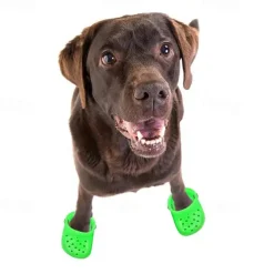 Dog Cat Boots / Shoes Sports Minimalist Casual Daily Breathable Washable Comfortable Outdoor Traveling Casual Daily Walking Dog Clothing for Husky Corgi Bichon Frise Small Medium