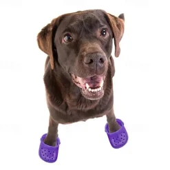 Dog Cat Boots / Shoes Sports Minimalist Casual Daily Breathable Washable Comfortable Outdoor Traveling Casual Daily Walking Dog Clothing for Husky Corgi Bichon Frise Small Medium