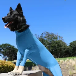 Dog Cat Coat Fashion Cute Winter Breathable Soft Washable Comfortable Outdoor Casual Daily Dog Clothing for Bichon Frise Pomeranian Baby Pet Papillon