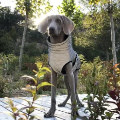 Dog Cat Coat Jacket Fashion Casual Winter Reflective Waterproof Warm Breathable Soft Outdoor Casual Daily Dog Clothing for Corgi Dachshund Pomeranian Baby Pet Papillon