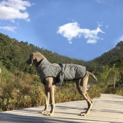 Dog Cat Coat Jacket Fashion Casual Winter Reflective Waterproof Warm Breathable Soft Outdoor Casual Daily Dog Clothing for Corgi Dachshund Pomeranian Baby Pet Papillon