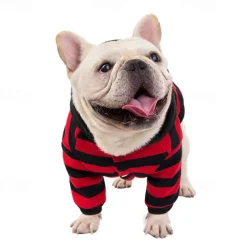 Dog Cat Coat Jacket Fashion Cute Winter Warm Soft Washable Comfortable Outdoor Sports Dog Clothing for Bichon Frise Poodle Pomeranian Baby Pet Papillon