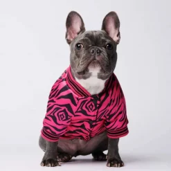 Dog Cat Coat Jacket Fashion Cute Winter Warm Breathable Soft Washable Comfortable Outdoor Casual Daily Dog Clothing for Bichon Frise Pomeranian Baby Pet Papillon Small